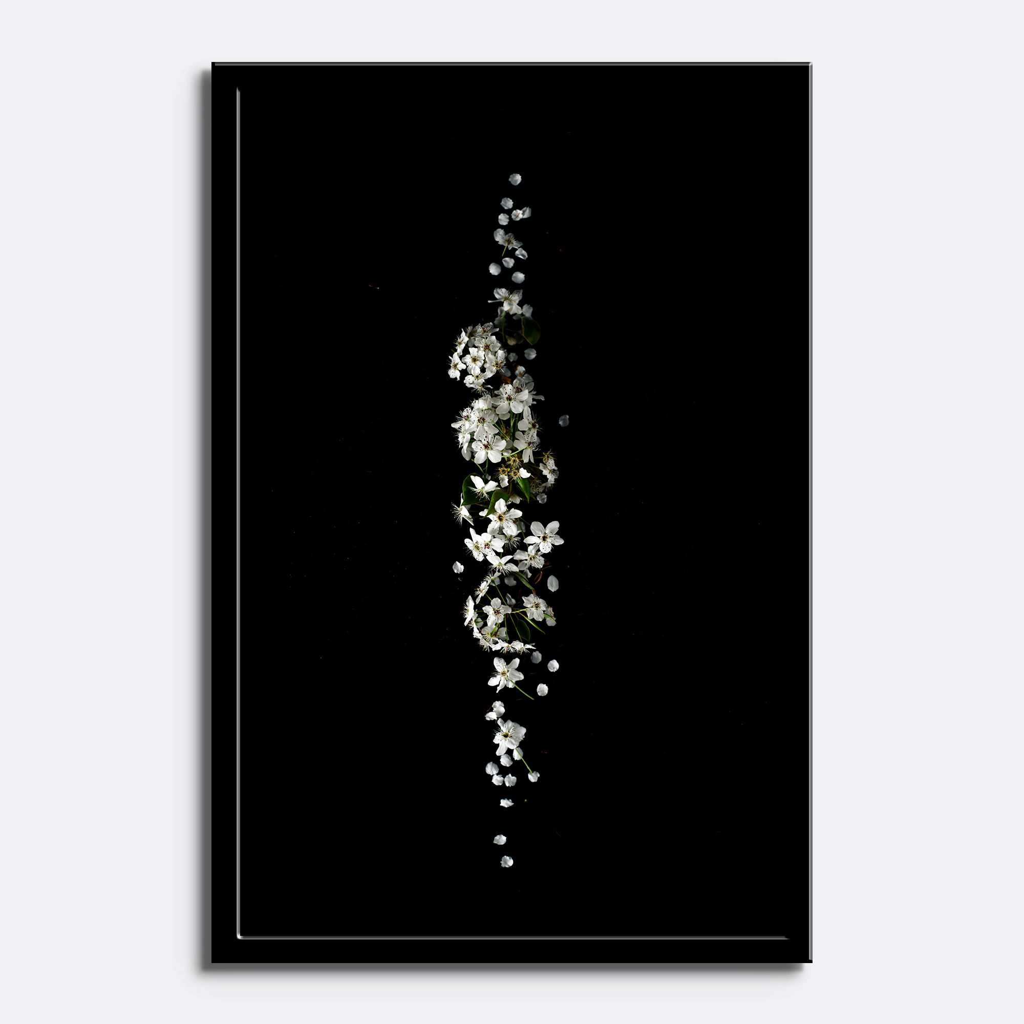 White Blossom Minimal Floral - Image 4