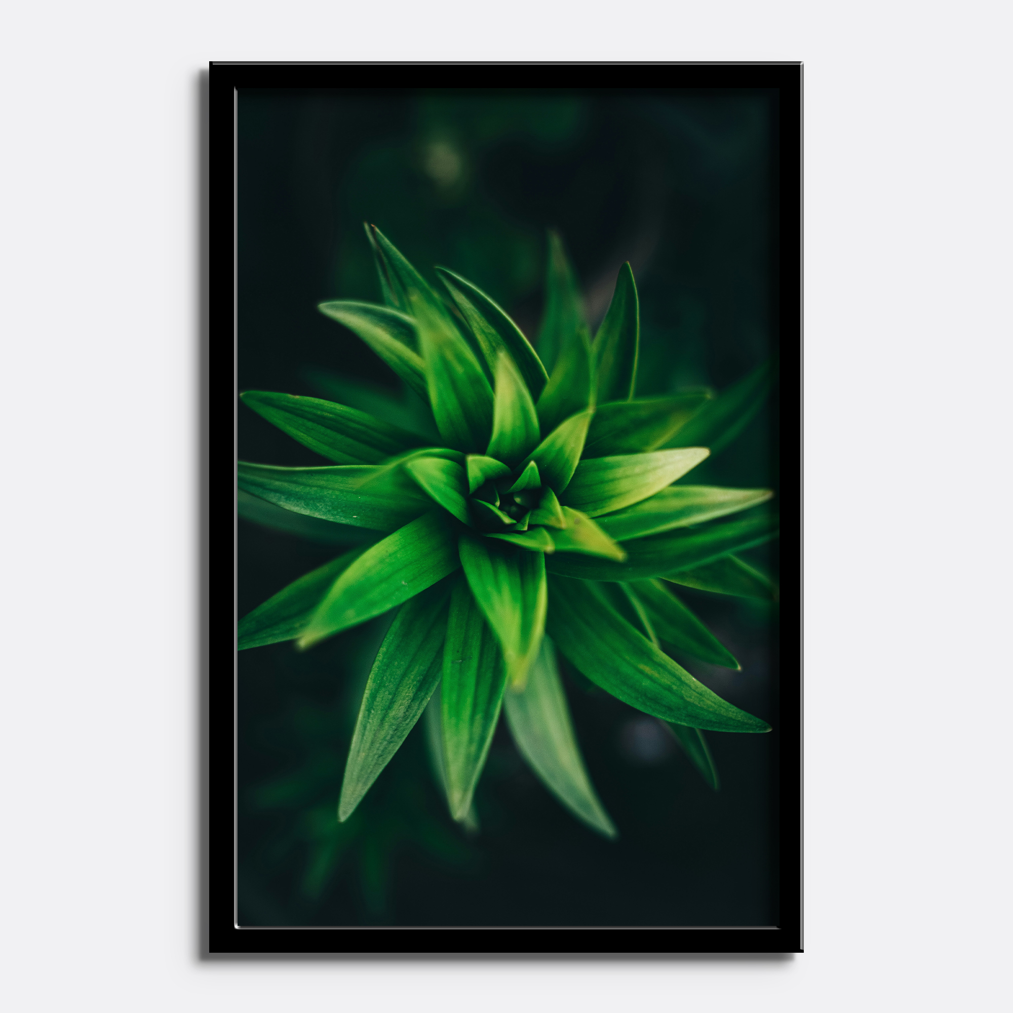 Green Botanical Macro - Image 4