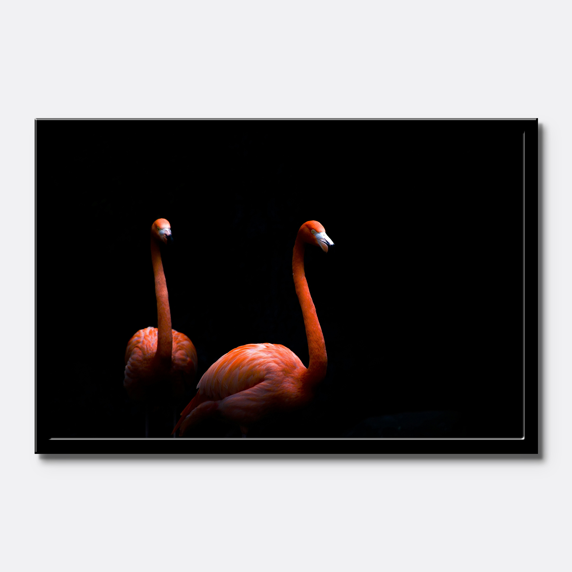 Elegant Flamingo - Image 4