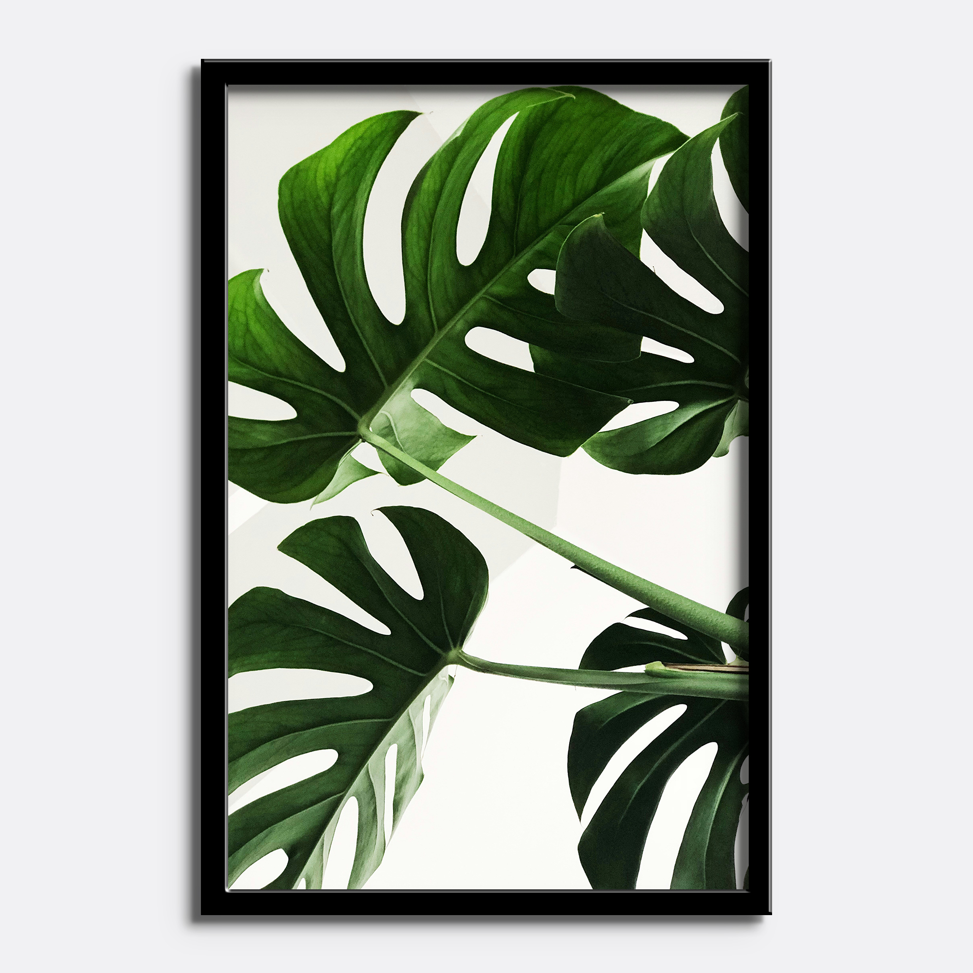 Monstera Leaf Green Botanical - Image 4