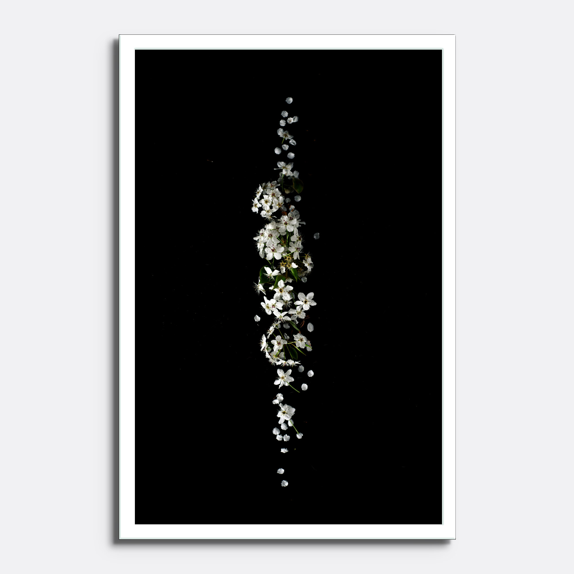 White Blossom Minimal Floral - Image 3