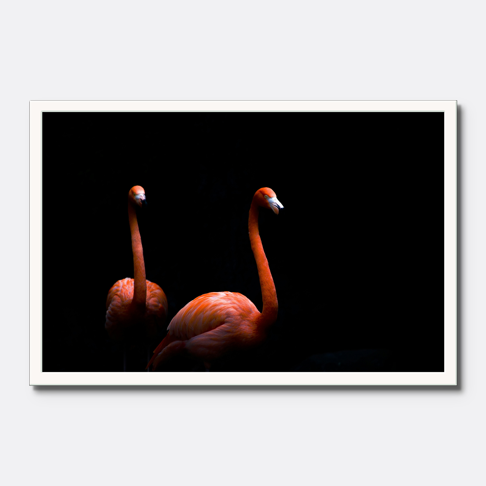 Elegant Flamingo - Image 3