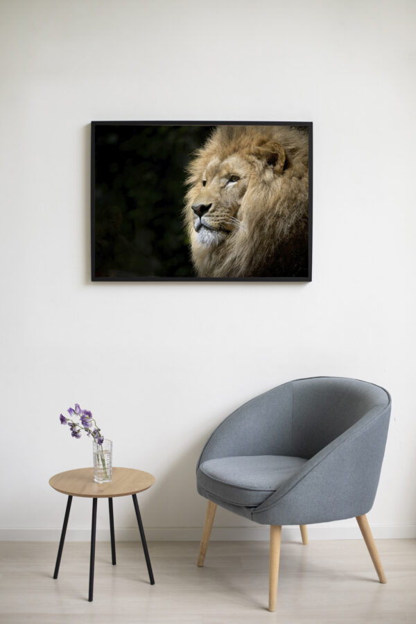 Majestic Lion King Portrait