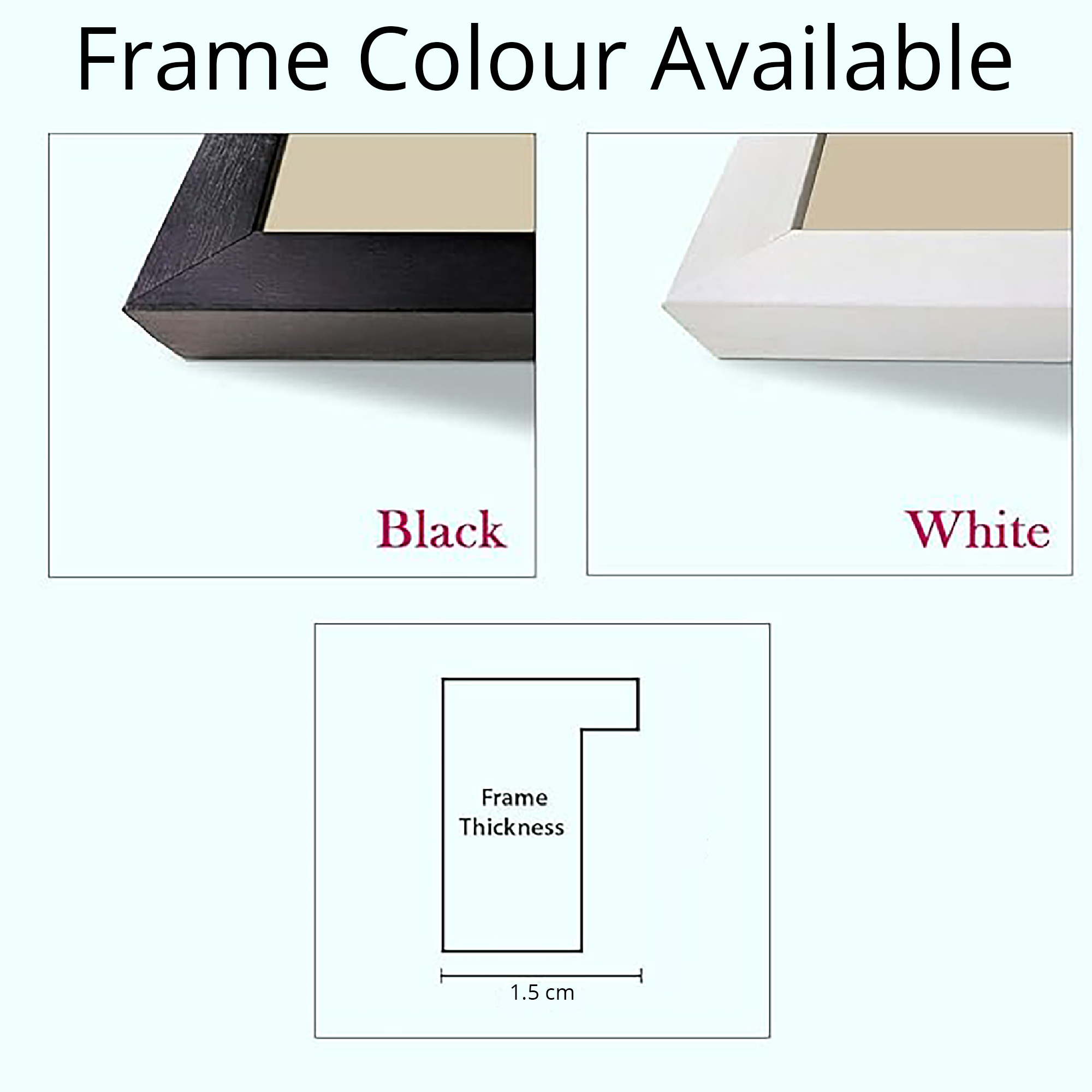 Royal Indian Elephant - Image 5