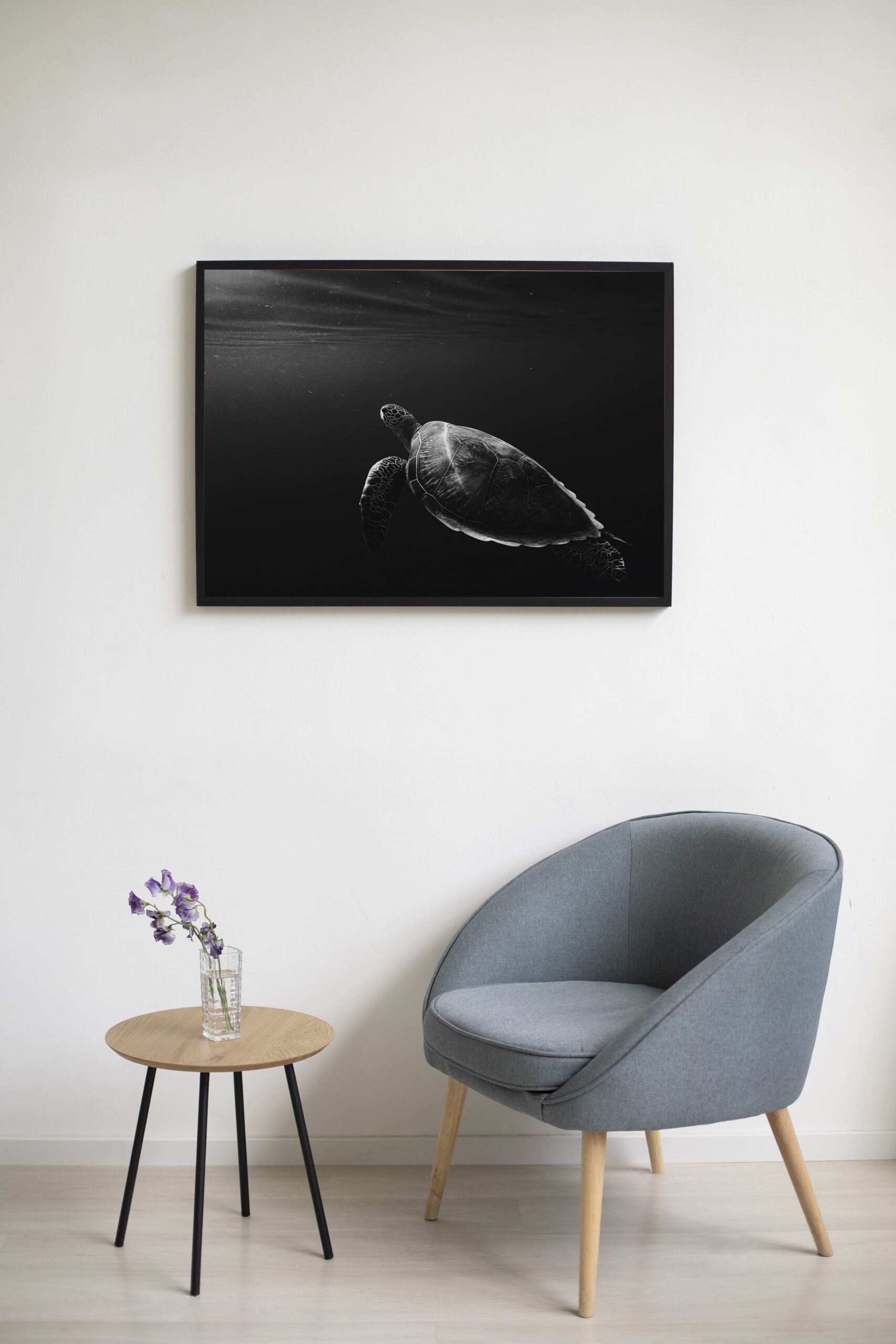 Black & White Sea Turtle