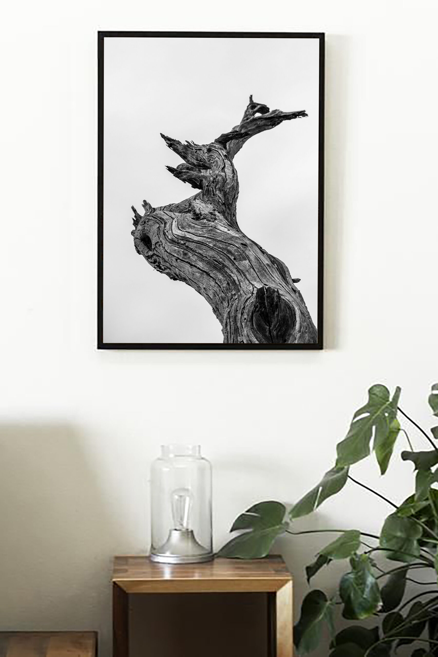 Black & White Tree Trunk - Image 2