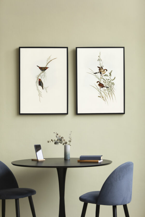 Vintage Bird Botanical